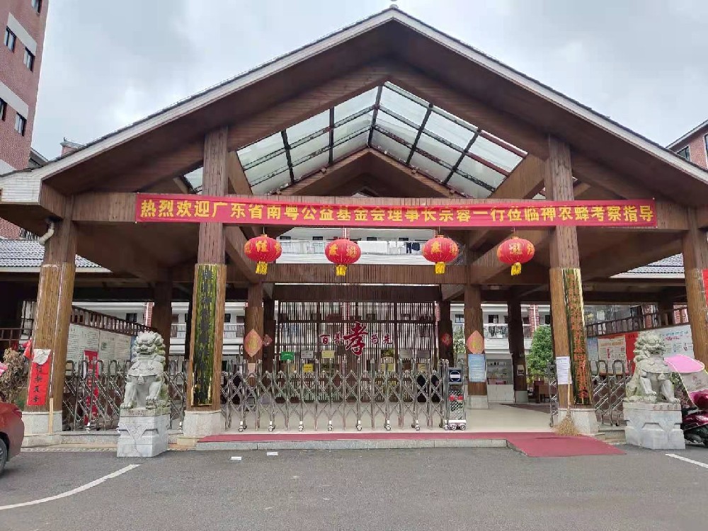 桂阳神农蜂